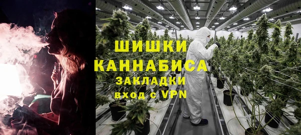 бошки Надым