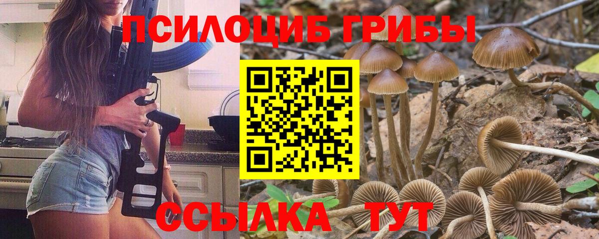 Галлюциногенные грибы прущие грибы  Галлюциногенные грибы GOLDEN TEACHER  Красноуфимск  Вход с VPN 